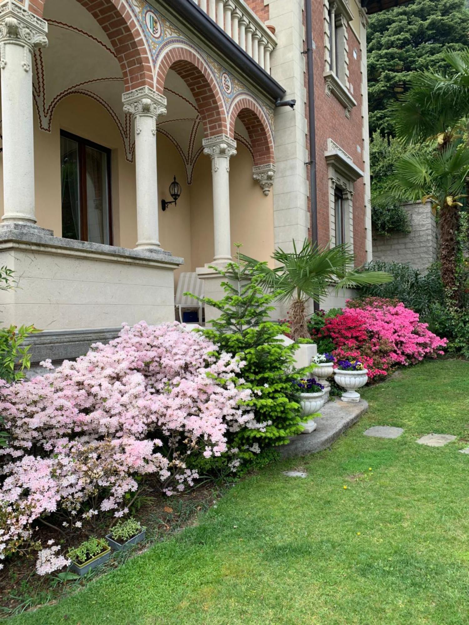Villa Castiglioni Luxury Apartment Laglio Dış mekan fotoğraf